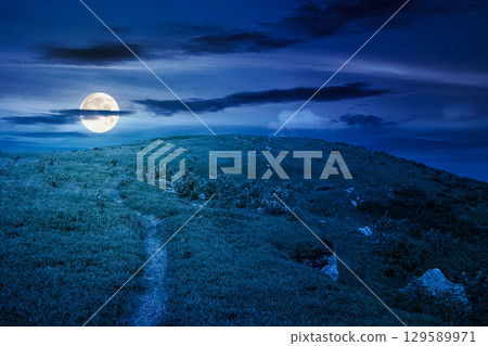 mountain landscape in summer at night. green hill and blue sky. scenic nature background for travel in alpine scenery. peaceful view in full moon light 129589971