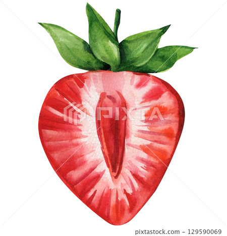 Fresh half strawberry watercolor illustration red berry slice with green leaves botanical food art for summer fruit design Fresh half strawberry watercolor illustration red berry slice with green leaves botanical food art for summer fruit design 129590069