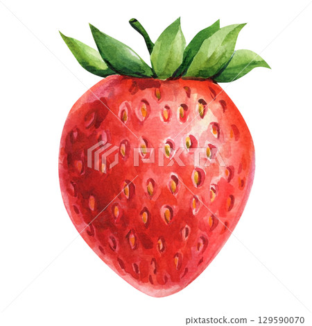 Bright red strawberry watercolor illustration with green leaves detailed botanical art for healthy food poster or summer decor 129590070