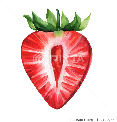 Half strawberry watercolor illustration fresh red berry slice with green leaves isolated food art for summer kitchen decor 129590072