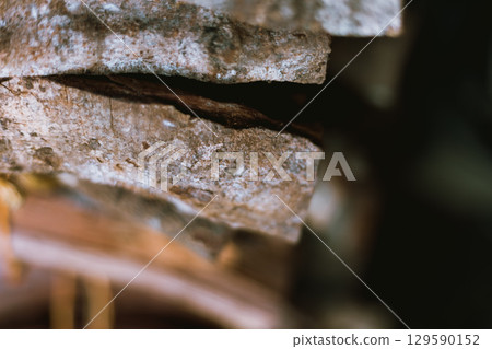 Pile of chopped fire wood prepared for winter 129590152