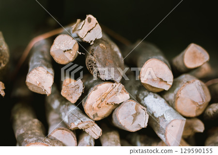 Pile of chopped fire wood prepared for winter 129590155