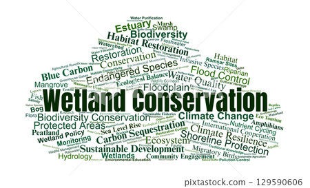 Wetland Conservation Word Cloud. Key Concepts On Ecosystem Protection, Biodiversity, Habitat Restoration, Climate Resilience, And Sustainable Water Management. Wetland Conservation Word Cloud. Key Concepts On Ecosystem Protection, Biodiversity, Habitat Restoration, Climate Resilience, And Sustainable Water Management. 129590606