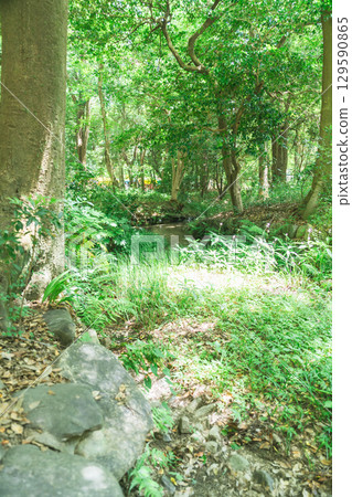 下鴨神社和鴨川 129590865