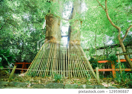 下鴨神社和鴨川 129590887