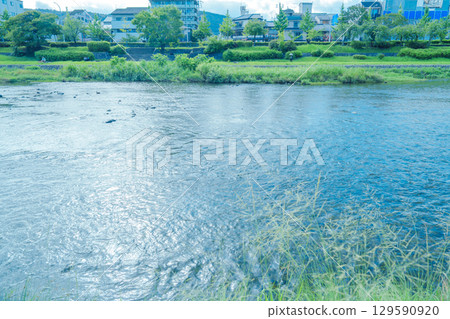 Shimogamo Shrine and Kamo River Shimogamo Shrine and Kamo River 129590920