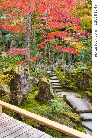 Beautiful autumn foliage at Hosen-in Temple, Horakuen (Sakyo Ward, Kyoto City, Kyoto Prefecture) 129591545