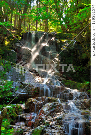 岐阜縣惠那市櫛原市栗若瀑布 岐阜縣惠那市櫛原市栗若瀑布 129591574