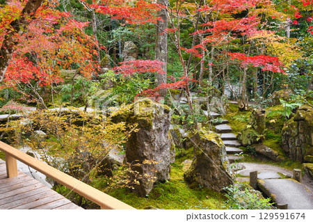 Beautiful autumn foliage at Hosen-in Temple, Horakuen (Sakyo Ward, Kyoto City, Kyoto Prefecture) Beautiful autumn foliage at Hosen-in Temple, Horakuen (Sakyo Ward, Kyoto City, Kyoto Prefecture) 129591674