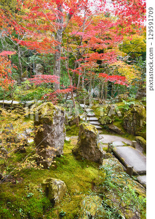 Beautiful autumn foliage at Hosen-in Temple, Horakuen (Sakyo Ward, Kyoto City, Kyoto Prefecture) 129591709