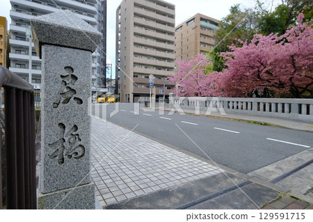 早春的一條桃橋 129591715