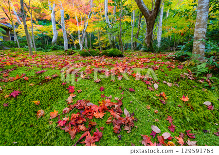 Gio-ji Temple surrounded by autumn leaves 129591763