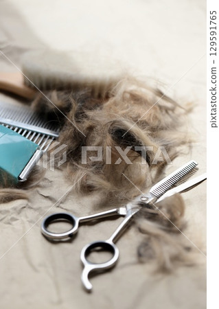 在家自行修剪狗毛和美容用品 129591765