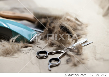 在家自行修剪狗毛和美容用品 在家自行修剪狗毛和美容用品 129591767