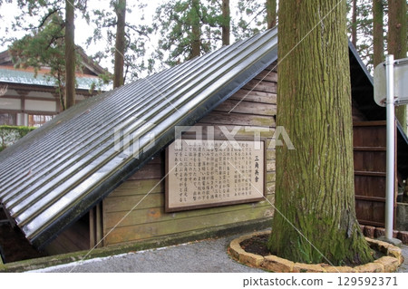 和平大廳 129592371