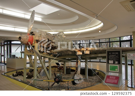 Peace Hall Peace Hall 129592375