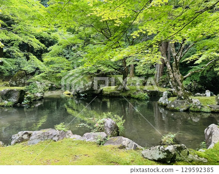 綠樹環繞的三重縣北畠神社 綠樹環繞的三重縣北畠神社 129592385
