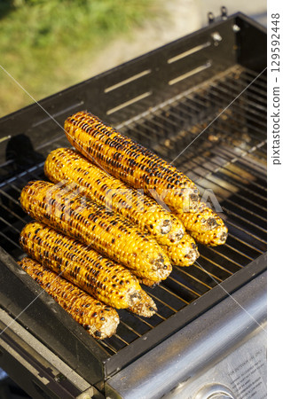 Grilled Corn on the Cob. Summer Street Food Delight Grilled Corn on the Cob. Summer Street Food Delight 129592448