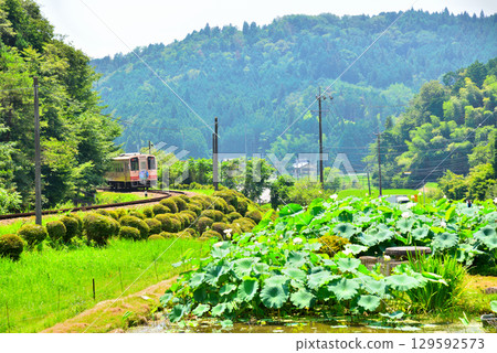Gifu Prefecture, Ena City, near Noshi Station on the Akechi Railway 129592573