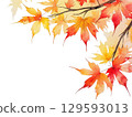 Watercolor style maple leaves 129593013