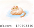 Pastel colored kitten 129593310