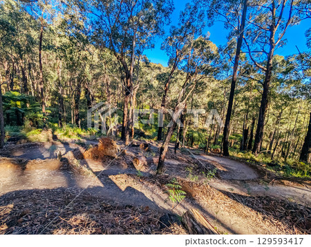Warburton Mountain Bike Park in Australia Warburton Mountain Bike Park in Australia 129593417