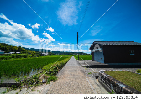 Nara Asukaji Temple 129593814