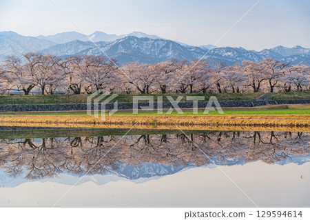 【富山縣】船川旭《春之四重奏》《水鏡》 【富山縣】船川旭《春之四重奏》《水鏡》 129594614