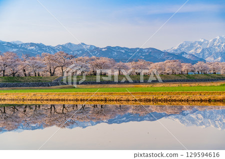 【富山縣】船川旭《春之四重奏》《水鏡》 129594616