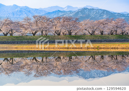 【富山縣】船川旭《春之四重奏》《水鏡》 129594620