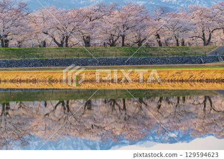 [Toyama Prefecture] Asahi Funakawa "Spring Quartet" "Water Mirror" 129594623