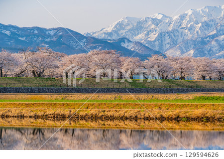 【富山縣】船川旭《春之四重奏》《水鏡》 129594626