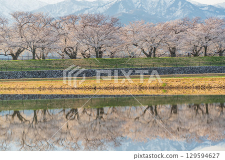【富山縣】船川旭《春之四重奏》《水鏡》 129594627