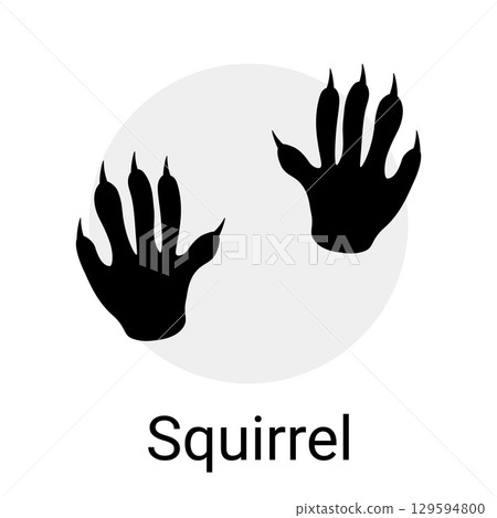 Animal footprint. Squirrel pawprint. Black silhouettes print zoo icon. Foot track shapes. Wild mammal step trail stamp. Footstep imprint with claws. Fauna wildlife. Forest rodent. Vector zoology card 129594800