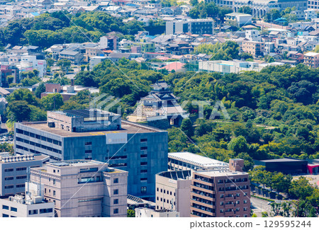 High-angle view of Hamamatsu Castle and Hamamatsu City Hall [Symbol of Hamamatsu] 129595244