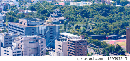 High-angle view of Hamamatsu Castle and Hamamatsu City Hall [Symbol of Hamamatsu] 129595245