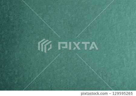Dark green paper backdrop with noise paper Dark green paper backdrop with noise paper 129595265