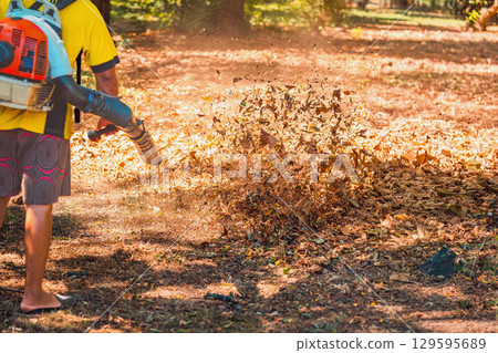 Autumn Leaf Cleaning In Park. Worker using leaf blower to clear dry autumn leaves in city park on a sunny day. Concept of seasonal cleanup, maintenance work, fall park care Autumn Leaf Cleaning In Park. Worker using leaf blower to clear dry autumn leaves in city park on a sunny day. Concept of seasonal cleanup, maintenance work, fall park care 129595689