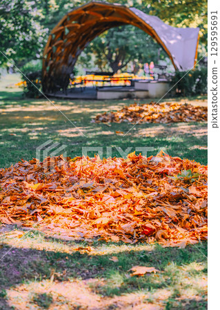 Closeup of vibrant autumn leaf pile in sunny park with modern gazebo in background, full of color and light. Concept of fall season, urban beauty, peaceful outdoor moment 129595691