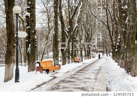 Empty benches covered with snow in winter park 129595723