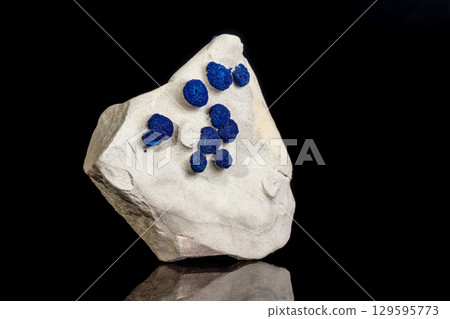 Macro mineral stone Azurite in siltstone against black background 129595773
