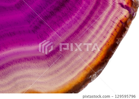 Macro mineral stone Purple Agate breed a white background 129595796