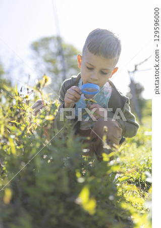 Curious child exploring nature with magnifying glass in meadow Curious child exploring nature with magnifying glass in meadow 129596000
