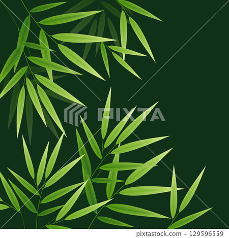 Realistic 3d Detailed Bamboo Chinese Green Plant Background . Vector 129596559