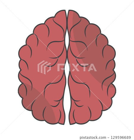 Colorful vector human brain illustration with sections on light background 129596689