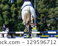 Show Jumping Horse Rider Flight Jump Action 129596712
