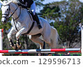 Show Jumping Horse Rider Flight Gate Action 129596713