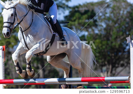 Show Jumping Horse Rider Flight Gate Action 129596713