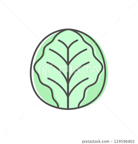 Cabbage line icon isolated on white background. Simple vegetable icon symbol. Vector illustration 129596802