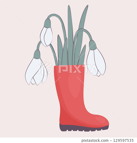 snowdrops in rubber boots 129597535